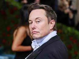 elon musk twins shivon zilis neuralink children executive 2021 tesla