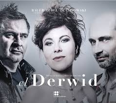 Amazon.co.jp: Derwid-それは、ヴィトルド・ルトスワフスキがヒット・ソングを作曲する時に使ったペンネーム。: Music