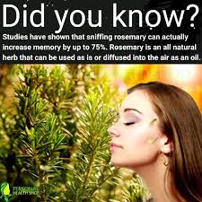 Personal Health Shop ☘️