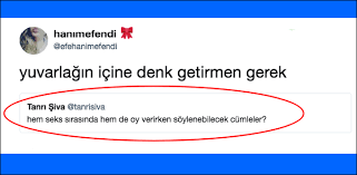 Hem yatakta hem mutfakta kurulan cümle söyleyin deseler ne derdiniz? Hem Seks Sirasinda Hem De Sandikta Oy Verirken Soylenebilecek Cumleleri Bulan Asiri Yaratici Kisiler Onedio Com