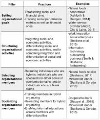 An organization that uses social media platforms to help veterans. Cracking The Organizational Challenge Of Pursuing Joint Social And Financial Goals Social Enterprise As A Laboratory To Understand Hybrid Organizing Cairn International Edition