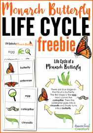 Monarch Butterfly Life Cycle Printables