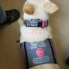 Samantha Nails It Again Patienceandlove143 Patienceandlove Servicedoggear Servicedogvest Customvest Customservicedogvest