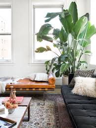 Move Over Fiddle Leaf Fig Tree Hello Bird Of Paradise Plant Decor Indoor Living Decor Big Plants