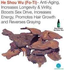 Did You Know The Name He Shou Wu Translates To Black Haired Mr He This Mystical Herb Also Known As T How To Increase Energy Herbalism How To Fall Asleep