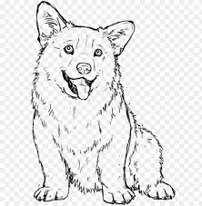 Outline the bottom of the teeth with black marker. Download Corgi Drawing Transparent Outline Of A Corgi Png Free Png Images Toppng