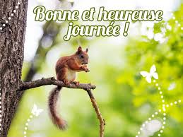 Résultat de recherche d'images pour "bonne journee"