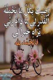 خلفيات واتس اب للبنات محجبات in 2021 girl wallpaper home decor decals wallpaper