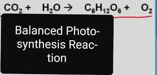 Balanced Photosynthesis Reaction What Is Photosynthesis Reaction What Reactions