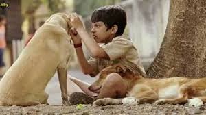 Darsheel safary, aamir khan, tanay chheda and others. Taare Zameen Par 2007 Subtitle Indonesia Amir Khan 720hd Full Movie Ù…ÙˆØ³ÙŠÙ‚Ù‰ Ù…Ø¬Ø§Ù†ÙŠØ© Mp3