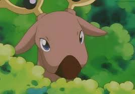 While it is not known to evolve into or from any other pokémon, heracross can mega evolve into mega heracross using the heracronite. A Wild Stantler Appeared Pokemon Know Your Meme