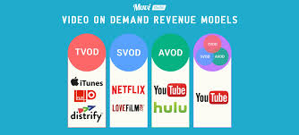 Videos are known to be the future of content marketing as they allow us to convey messages more beautifully and more expressively than ever. Vod Service Muvi