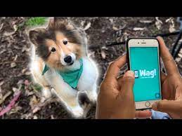 Start searching for petting sitting near you and review pet sitter profiles for free on care.com. Dog Walking Jobs Near Me For 12 Year Olds Jobs Ecityworks