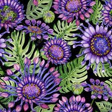 Colorful floral african blue pattern in blue and pink. Beautiful Large Vivid Purple African Daisy Flowers With Green Stock Photo Picture And Royalty Free Image Image 98594728