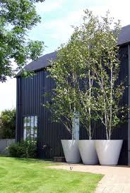 Bring the outside in with these beautiful containers for your houseplants. 10 Best Ideas For Pots And Planters In A Modern City Garden Modern Garden City Garden Autumn Garden
