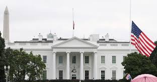 ‘Secretive’ UFC White House card is ‘done,’ Dana White to unveil lineup ahead of UFC 326