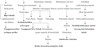 Você está na página 1 de 2. 2