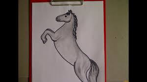 Zeichnen Lernen Fur Anfanger Pferd Malen Pferdeportrait Learn To Draw A Horse Youtube