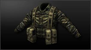 Not only special forces type units wore them, infantry, air force. Tiger Stripe Camo Cawiki Fandom