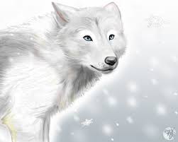 Howling, lying blue from the anime wolf's rain. White Wolf By Adiadii On Deviantart