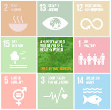 Teaching Sustainable Development Goals Microsoft In Education Video Explaining What Environmental Education Microsoft In Education Sustainable Development