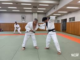 連珍羚，台灣女子柔道選手， 2014 年成為台灣柔壇第一位旅日職業選手、 2015 年成為臺灣柔道史上的第一面國際柔道大獎賽金牌得主。在 2016 年夏季奧林匹克運動會柔道女子 57 公斤級比賽獲第五名，創下臺灣柔壇在奧運最佳成績。 Zqpypboz Yxckm