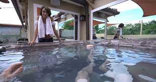 Jayden, my sisters hot friend. My Taboo My Sister S Best Friend Emma Jumps In The Hot Tub For Some Big Dick Fun Mp4 4k