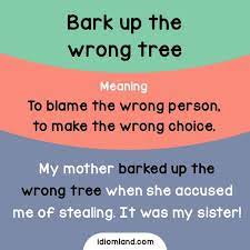 Bark Up The Wrong Tree Acusar A La Persona Erronea Errar El Tiro English Phrases Idioms English Idioms English Vocabulary Words