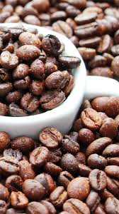 We did not find results for: Coffee Beans Water Drops Cup 1080x1920 Iphone 8 7 6 6s Plus Wallpaper Background Picture Image