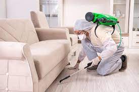 Pest control & carpet cleaning. Carpet Cleaning Lounge Cleaning Morayfield Qld