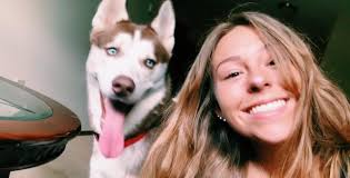 Lost dog in Lincoln, Pennsylvania area