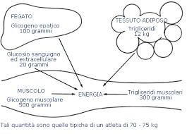 A gram is defined as one thousandth of a kilogram. Frequenza Cardiaca Per Dimagrire