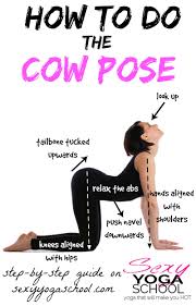 Like The Cat Pose Bitilasana This Is A Good Exercise For The Back And Is Often Done Together With The Former Making The Cow Pose Yoga Cow Pose Yoga School