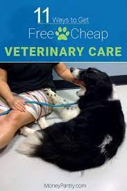 With more than 360 general, specialty, emergency and equine hospitals, petvet care centers is a veterinary network with a solid commitment to every community we serve. Dog Clinic Near Me Online Shopping