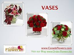 Christmas flowers canada a holly day for canadian. Send Christmas Flowers Online With Canada Flowers Com An Ftd Florist