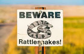 Check spelling or type a new query. Tips For Avoiding A Snakebite While Hiking Frommer S