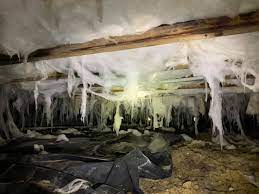 Chemical treatment commercial pestico termite pest control services, in kolkata. Albemarle Termite Pest Control Inc Posts Facebook
