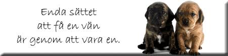 Och som bär frukt och blommar samtidigt. Vanskap Perfekta Gavor Och Presenter Till Kompisar Och Vanner