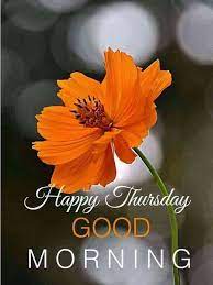 35 Amazing Good Morning Quotes And Wishes With Beautiful Images Good Morning Thursday Images Good Morning Thursday Good Morning Happy Thursday