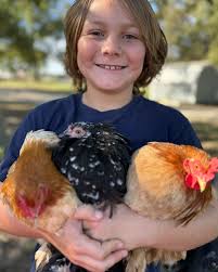 🐮 Who is Rusty Barn Farm? 🐮 • Hi Friends! I thought I'd do a little  reintroduction of Rusty Barn Farm! • Rusty Barn Farm is a female owned farm  in the