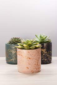 Geometric concrete succulent + aquatic planter/fountain (second model): Concrete Succulent Planter Indoorplanter Concreteplanter Cement Modern Unique Sukulent Ekimi Saksi Etli Yaprakli Bitkiler