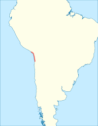 Check spelling or type a new query. Cultura Chinchorro Wikipedia La Enciclopedia Libre