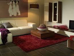 So wird ihr teppich wieder tiefenrein sie können mit einfachen mitteln ihren hochflor teppich reinigen. Schoner Wohnen Hochflor Teppich Shaggy Elegance