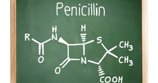 Image result for Penicillin
