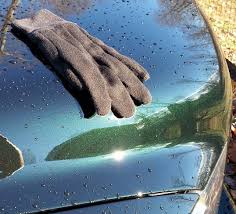 Image result for Black Forest Green 2014 Chrysler