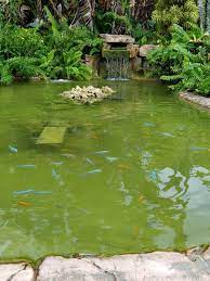 Salt pond builders has been serving southern ri since 1987! Pond Design Pond Alchemy