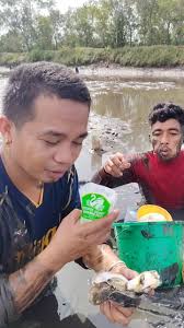 Eating Giant and Fresh Oyster #oysters #eating #highlights #followers  #everyone