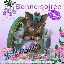 Résultat de recherche d'images pour "gifs animés bonsoir et bonne soiree"