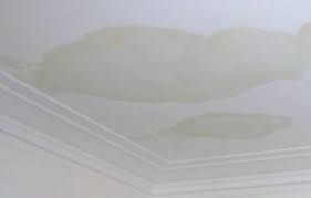 Use a paint brush and prime the water damaged ceiling with a product called kilz ceiling paint. Benjamin Moore Ceiling Paint And Kilz Ceiling Paint The Top 2 Brad The Painter