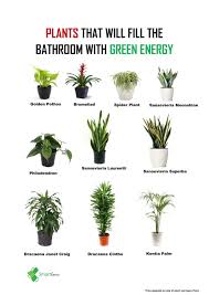Fungsi bilik sama ada bilik tersebut digunakan sebagai bilik pejabat, bilik tamu, bilik. Smartgrow Agro Idea Pokok Hiasan Dalam Rumah Atau Pejabat